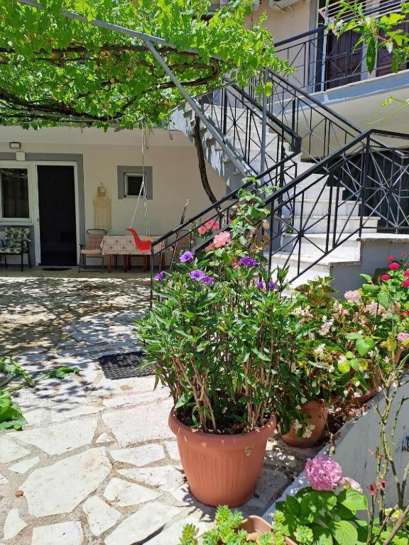 Nikiana Family Apartment Zewnętrze zdjęcie